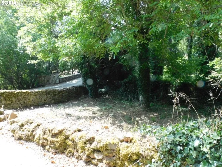 Diustes, Villar del Río