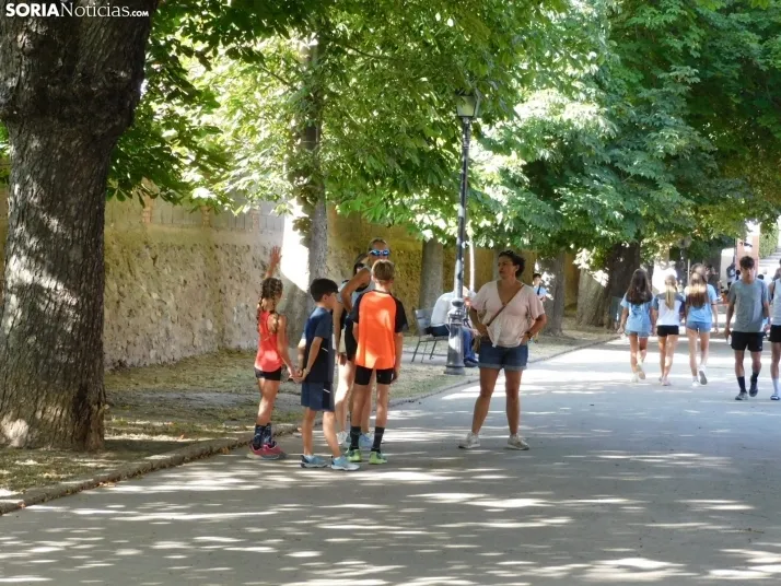 XXXI Carrera Popular Fermín Cacho