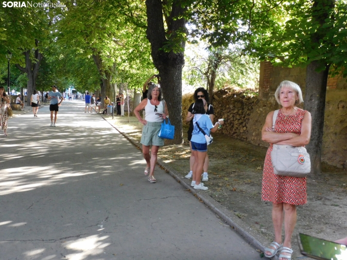 XXXI Carrera Popular Fermín Cacho