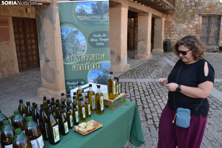 En im&aacute;genes: M&aacute;s de 400 personas acuden a Medinaceli para reencontrarse con sus or&iacute;genes 