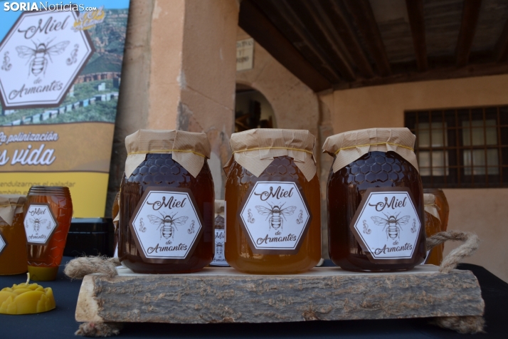 En im&aacute;genes: M&aacute;s de 400 personas acuden a Medinaceli para reencontrarse con sus or&iacute;genes 