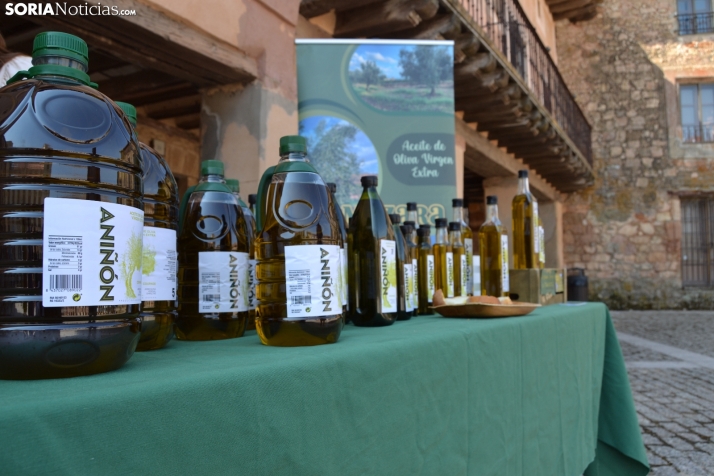 En im&aacute;genes: M&aacute;s de 400 personas acuden a Medinaceli para reencontrarse con sus or&iacute;genes 