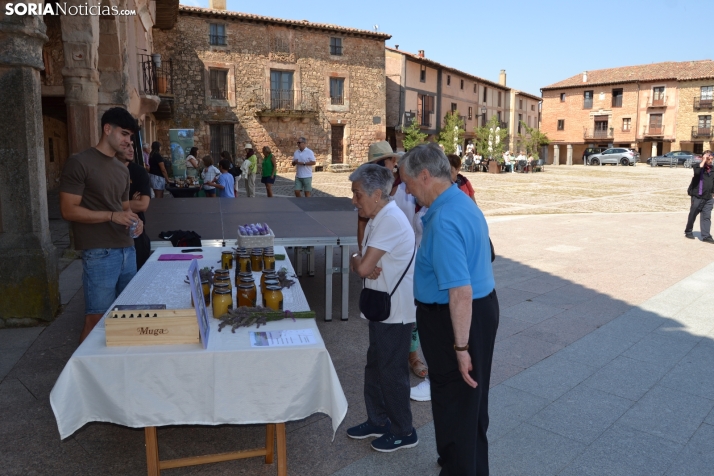 En im&aacute;genes: M&aacute;s de 400 personas acuden a Medinaceli para reencontrarse con sus or&iacute;genes 