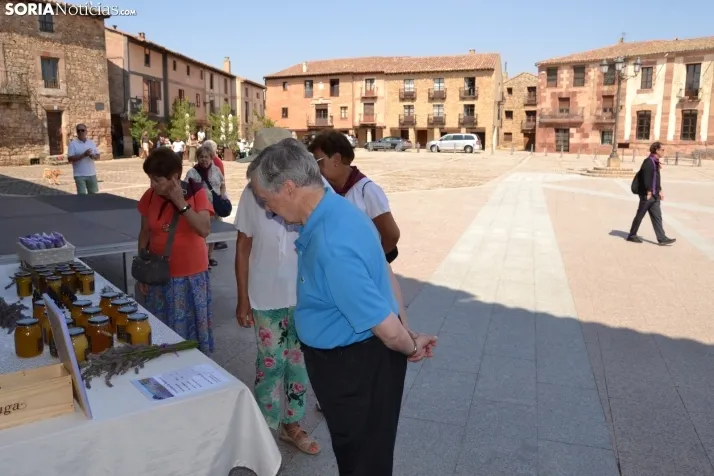 En im&aacute;genes: M&aacute;s de 400 personas acuden a Medinaceli para reencontrarse con sus or&iacute;genes 