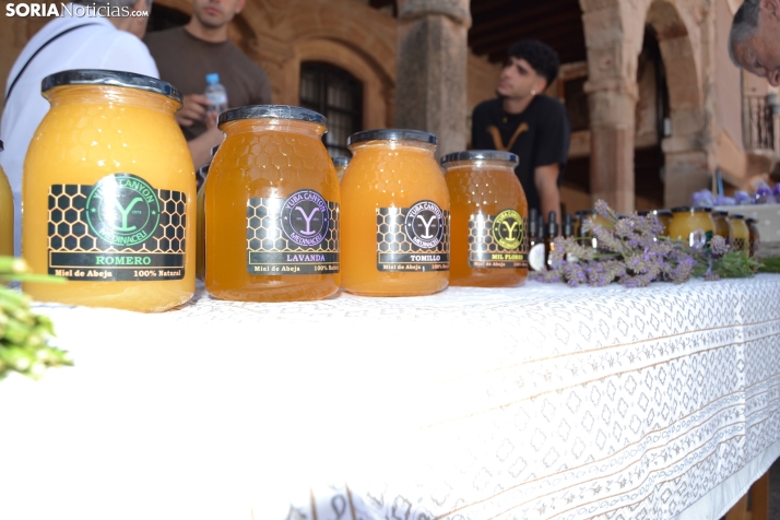 En im&aacute;genes: M&aacute;s de 400 personas acuden a Medinaceli para reencontrarse con sus or&iacute;genes 