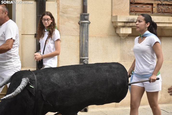 Encierro infantil en El Burgo de Osma.
