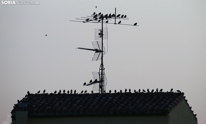 Mañana fresca y tarde agradable para el último viernes de agosto en Soria