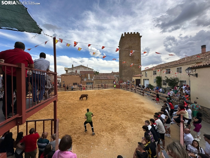 Éxito en la suelta de vaquillas de las fiestas de Noviercas