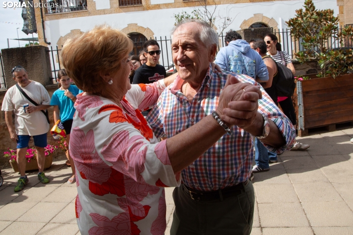 La Gallofa de Golmayo