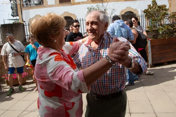 La Gallofa de Golmayo