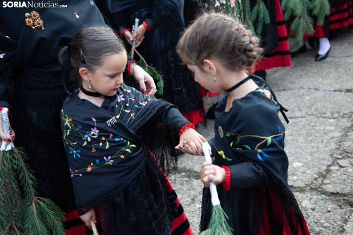 La Pinochada viste de gala a Vinuesa