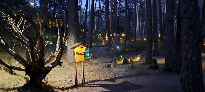 Hadas, luces y lobos: más de 3 000 personas visitan el Bosque Mágico de San Leonardo