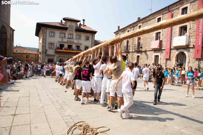 Pingada del mayo en Vinuesa