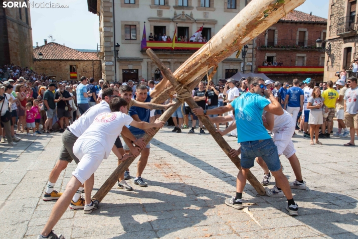 Pingada del mayo en Vinuesa