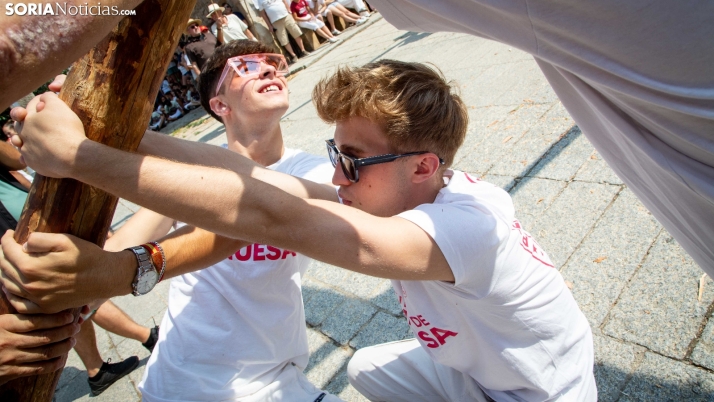 Pingada del mayo en Vinuesa