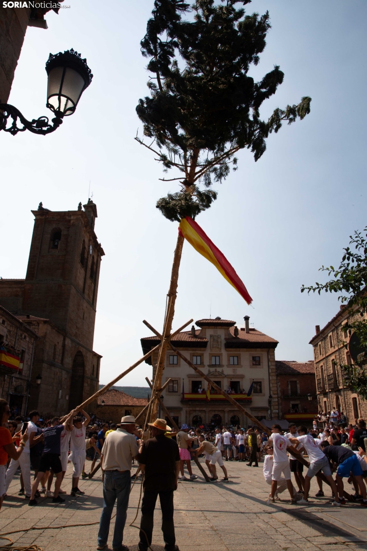 Pingada del mayo en Vinuesa