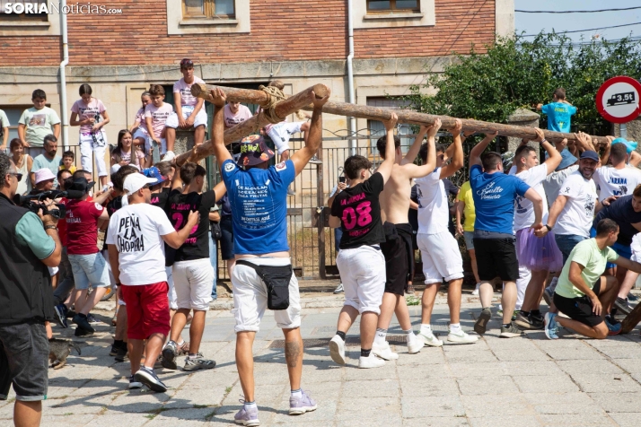 Pingada del mayo en Vinuesa