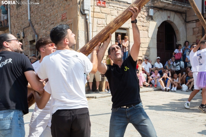 Pingada del mayo en Vinuesa