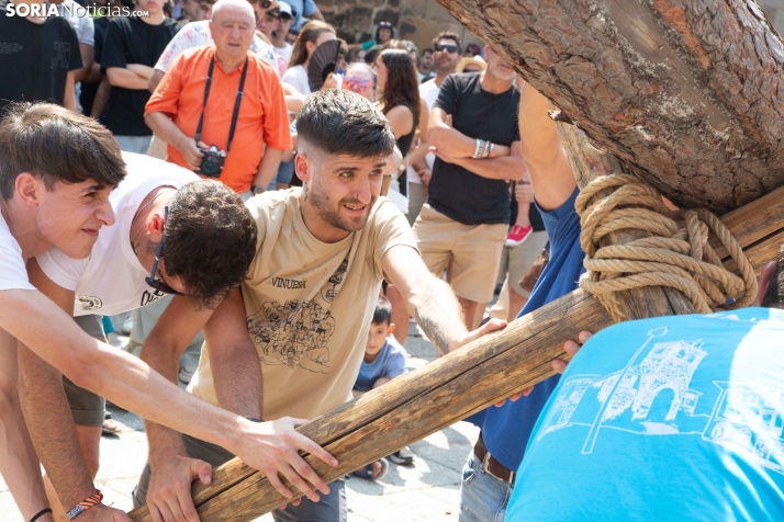 Pingada del mayo en Vinuesa
