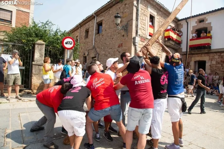 Pingada del mayo en Vinuesa