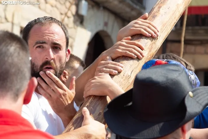 Pingada del mayo en Vinuesa