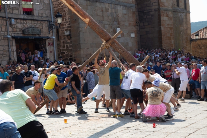 Pingada del mayo en Vinuesa