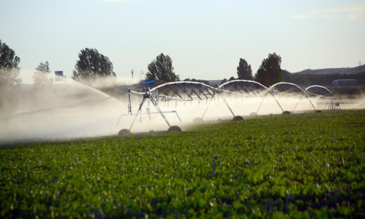 Las claves de la expropiación del regadío de Ines y Eza: fechas y documentos que deben presentar los afectados