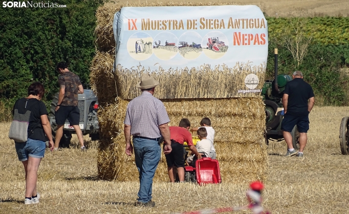 Una imagen de esta mañana en Nepas. /PC