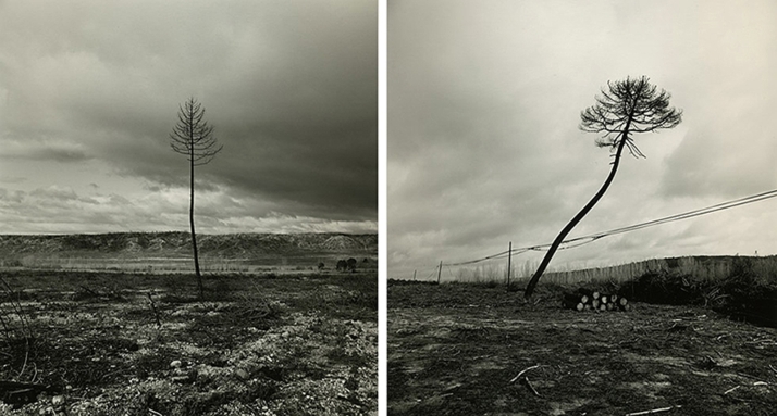 Izana: 25 años del gran incendio