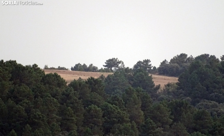 Subida de las máximas y las mínimas se mantienen