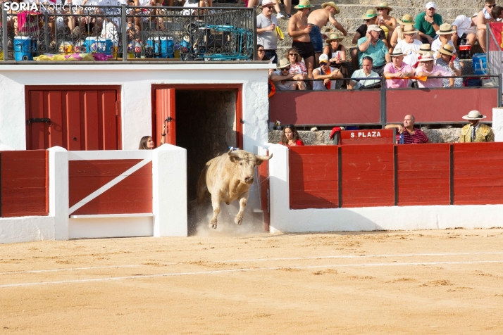 Toros en El Burgo 2025