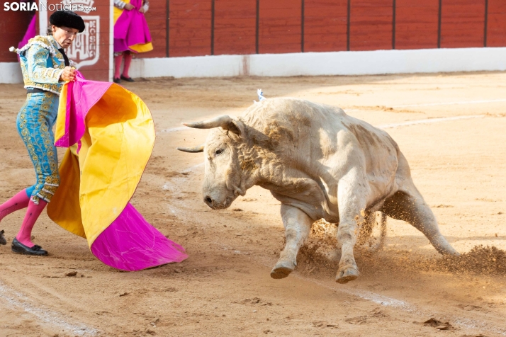 Toros en El Burgo 2025