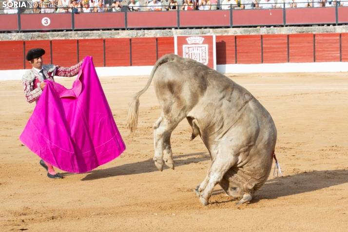 Toros en El Burgo 2025