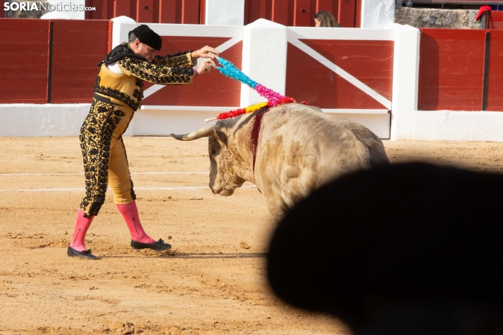 Toros en El Burgo 2025