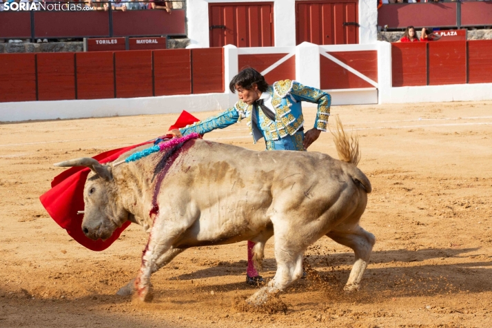 Toros en El Burgo 2025