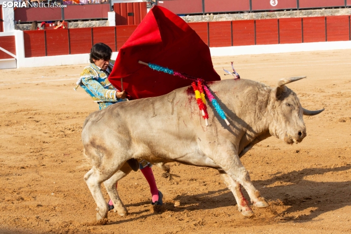 Toros en El Burgo 2025