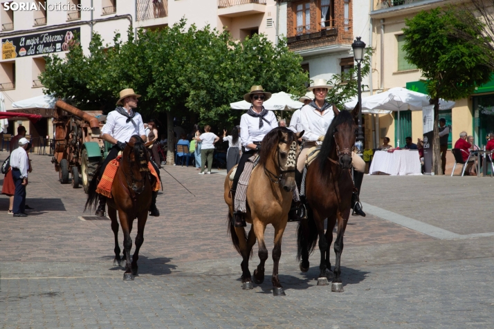 XXIV Mercado Tradicional de San Pedro