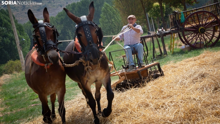 GALERÍA | San Pedro presume de lo propio con su XXIV Mercado Tradicional