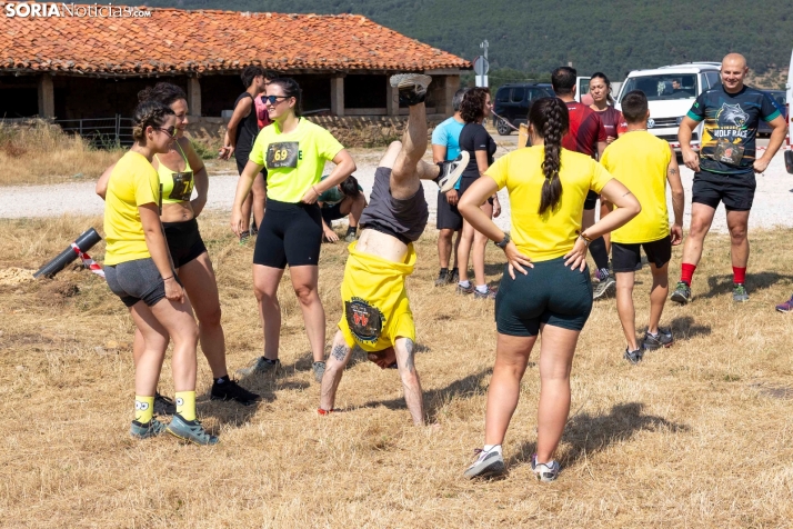 Vinuesa Wolf Race./ Viksar Fotografía