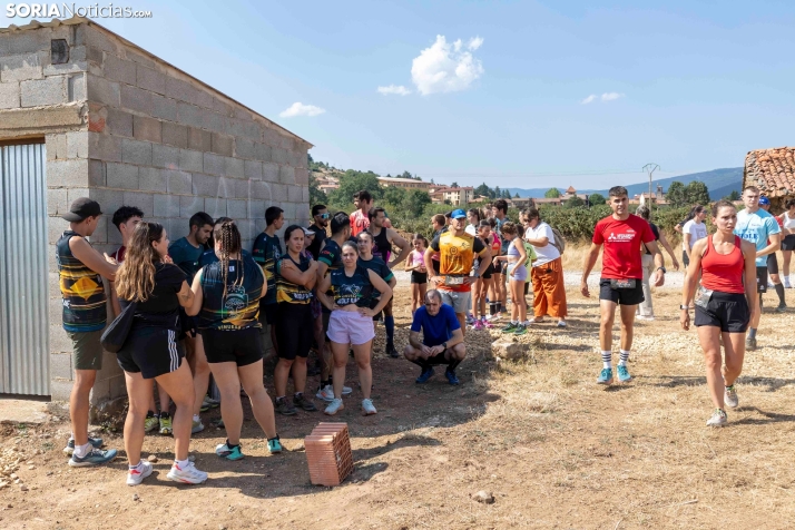 Vinuesa Wolf Race./ Viksar Fotografía