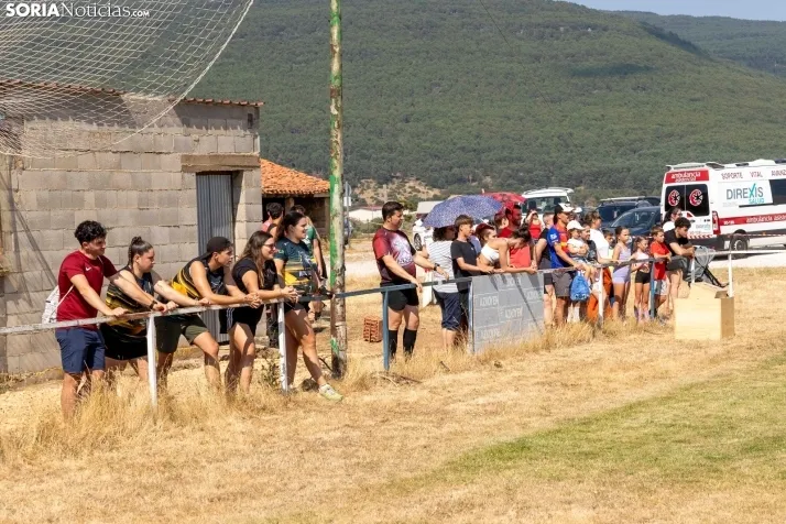 Vinuesa Wolf Race./ Viksar Fotografía