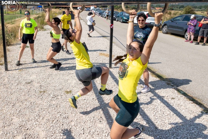 Vinuesa Wolf Race./ Viksar Fotografía