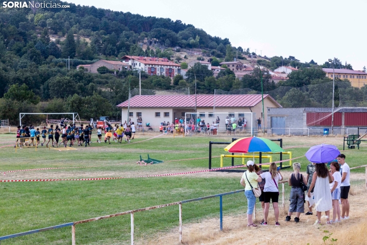 Vinuesa Wolf Race./ Viksar Fotografía