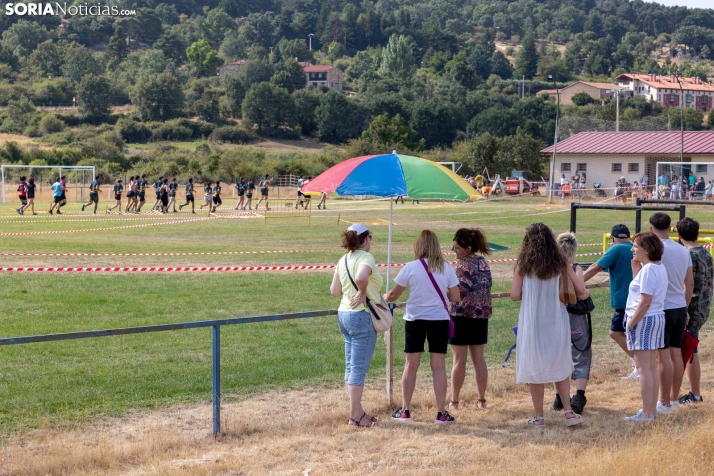 Vinuesa Wolf Race./ Viksar Fotografía