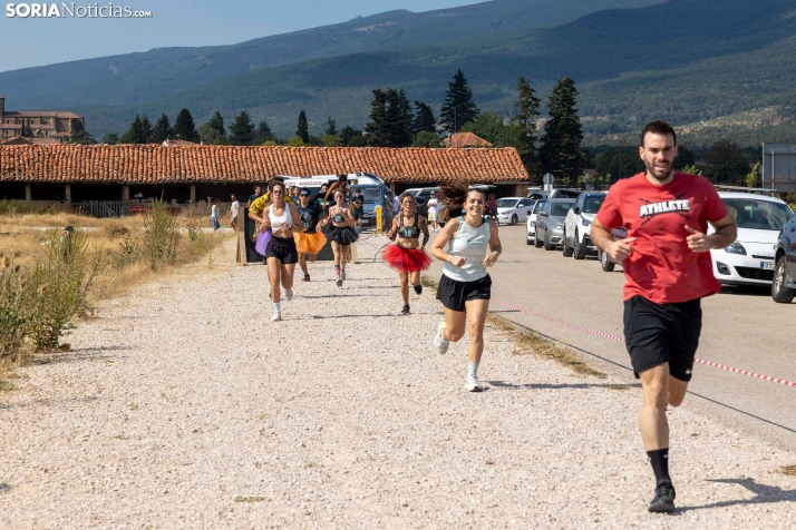 Vinuesa Wolf Race./ Viksar Fotografía