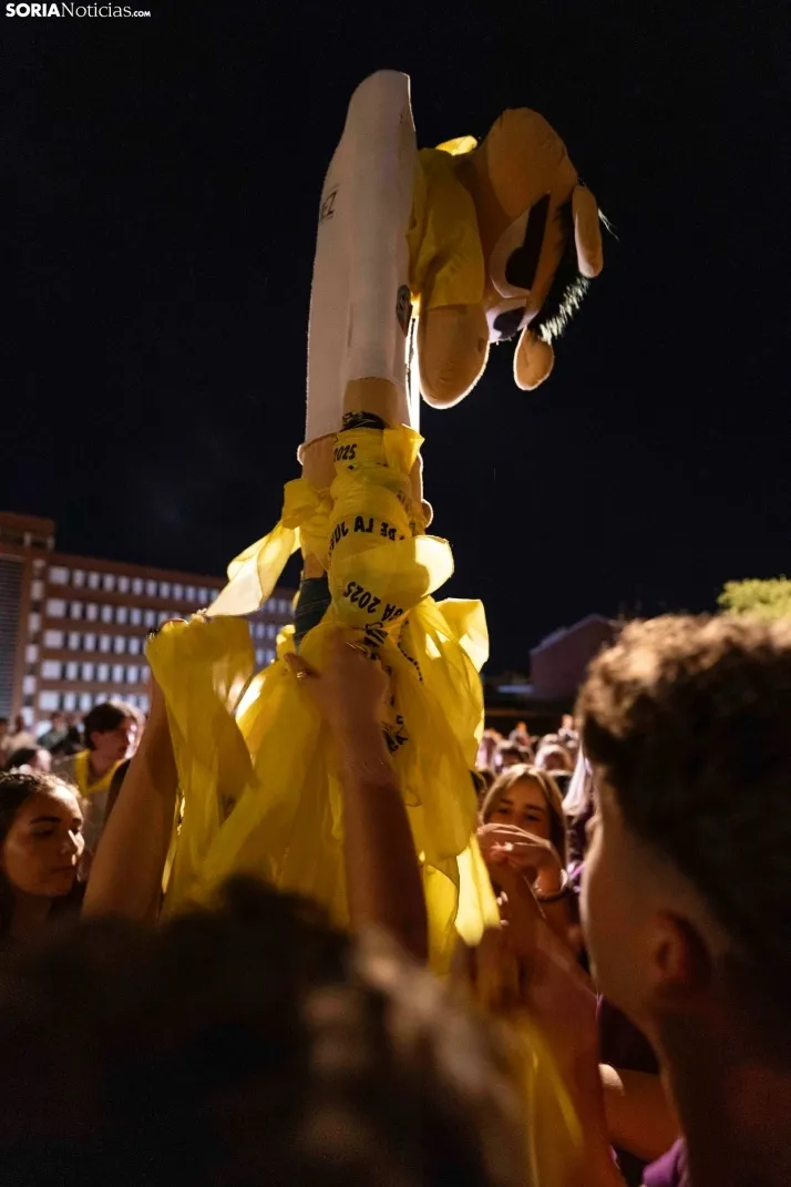 Quema del Bulinga Ólvega 