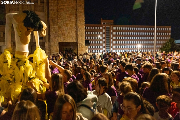 Quema del Bulinga Ólvega 