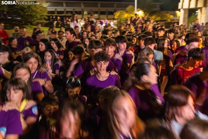 Quema del Bulinga Ólvega 