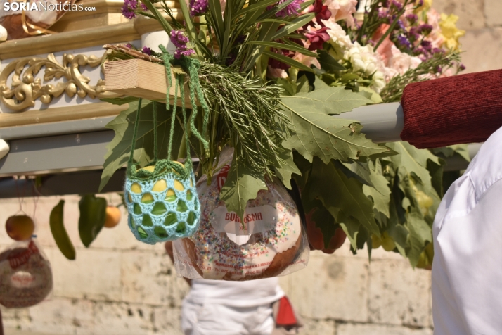 Procesión de San Roque en El Burgo de Osma. 