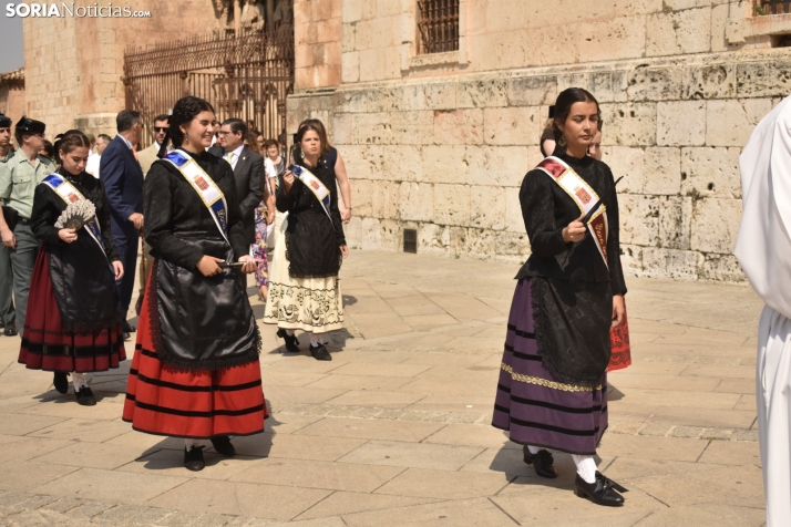 Procesión de San Roque en El Burgo de Osma. 